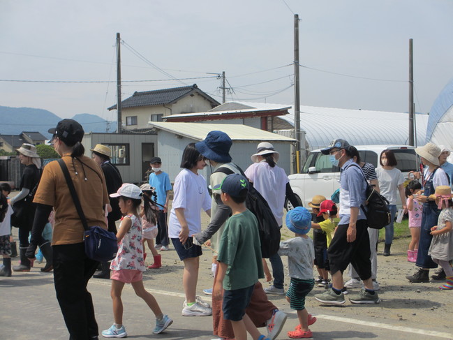 ひまわり種まき