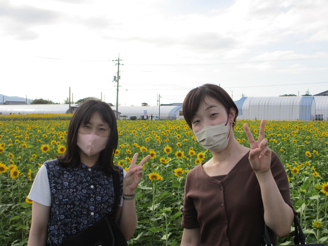 ひまわり８