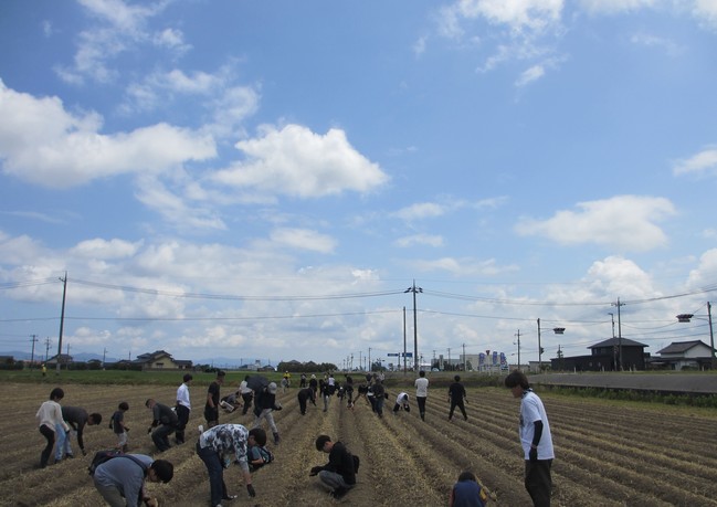 ひまわり咲かせ隊6