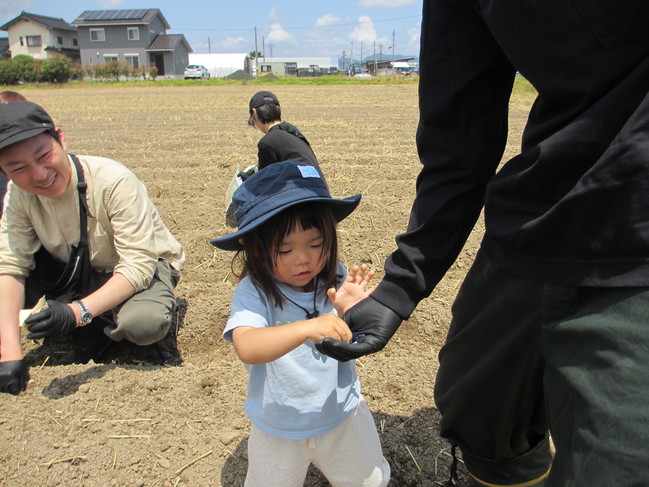 ひまわり咲かせ隊9