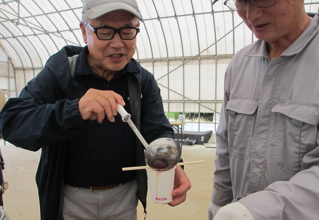 ひまわり咲かせ隊17