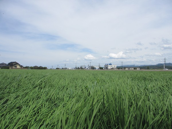 南部町６
