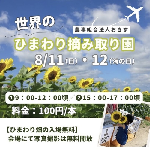 ひまわり