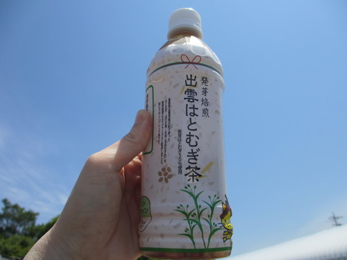 はとむぎ茶