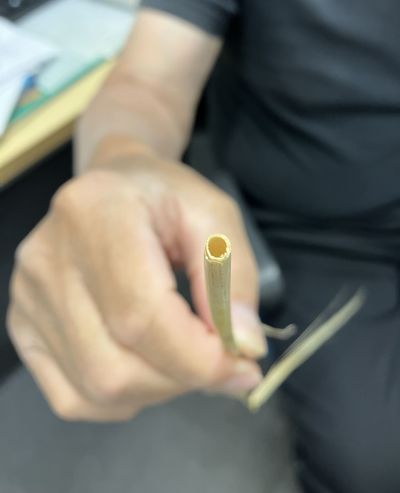 麦収穫3