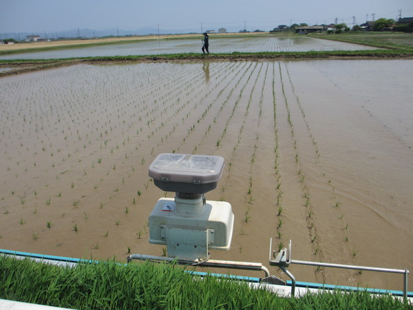 田植え６