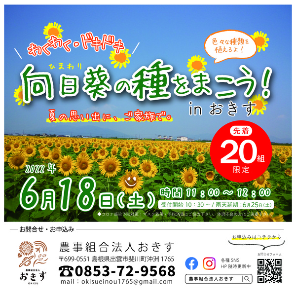 向日葵の種をまこう