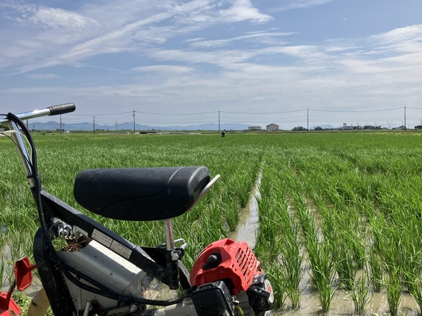 ライダー